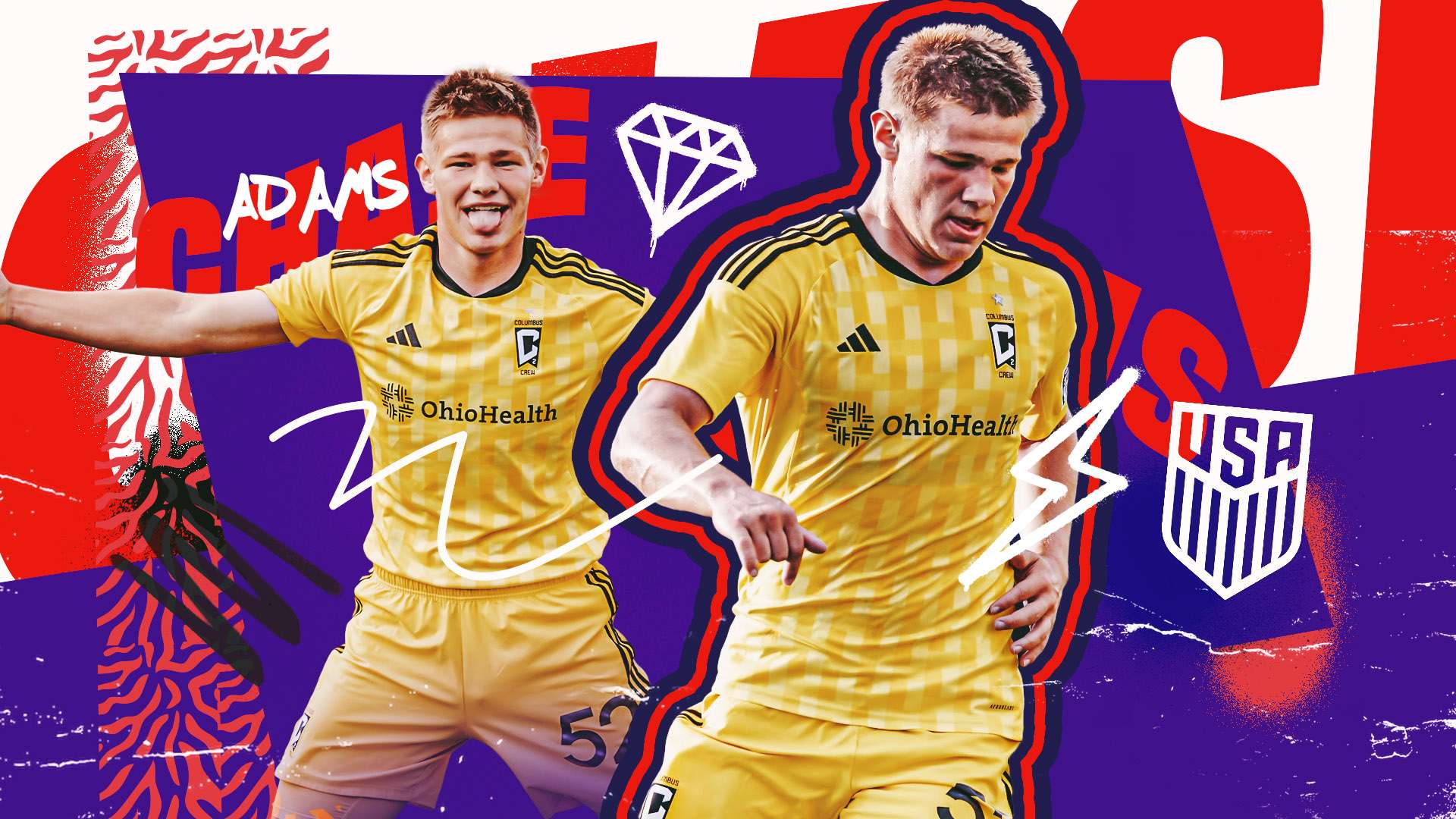 引入专业教 引入专业教